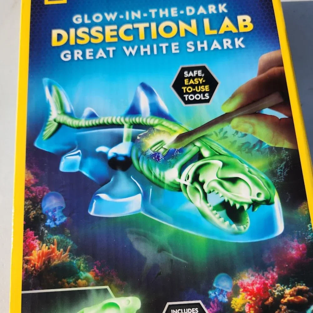 National Geographic Shark Dissection Kit Glow in The Dark Great White Shark Anat